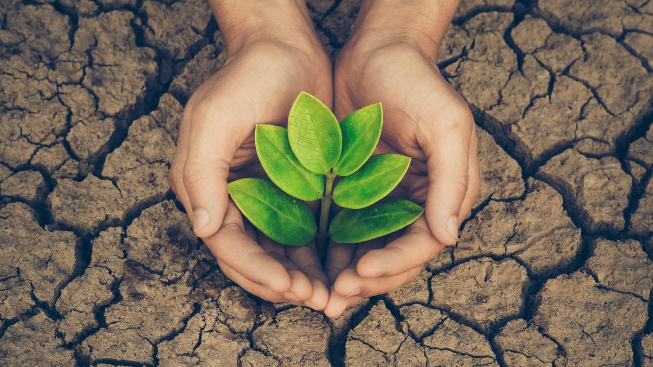 The Science of Flourishing
