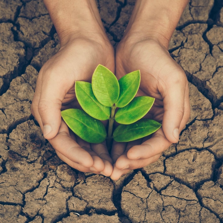 The Science of Flourishing