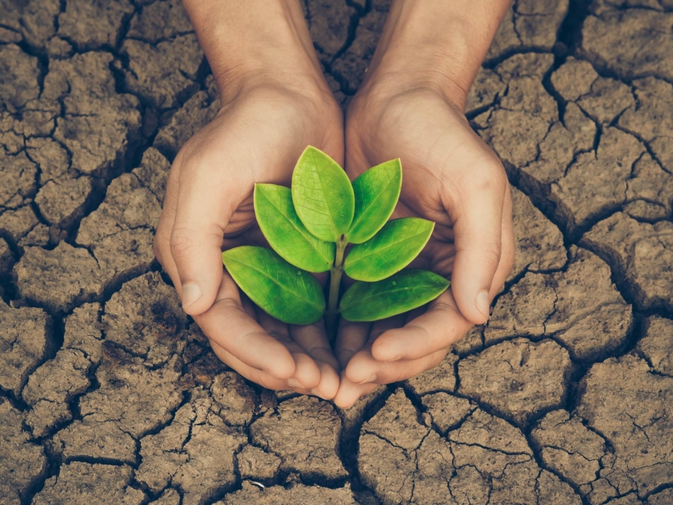 The Science of Flourishing